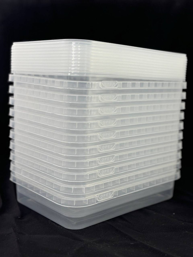 قیمت ظروف یکبار مصرف لوکس نوئل قابل شستشو