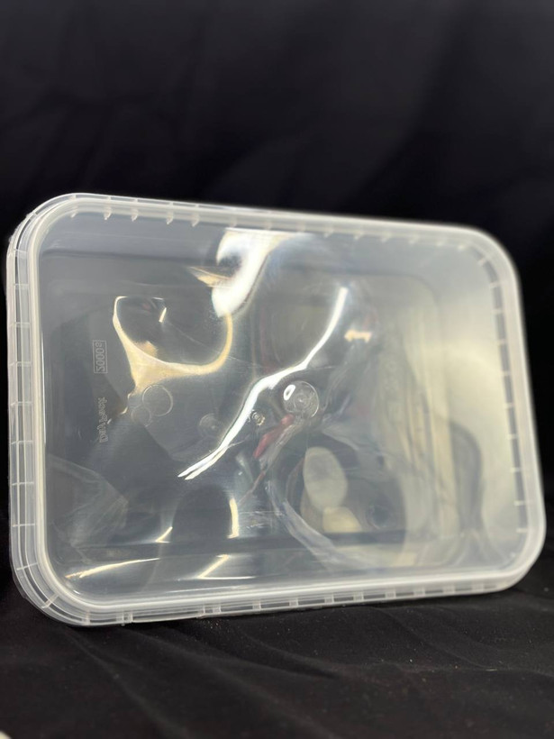 خرید ظرف فریزری ۲ لیتری بزرگ برند نوئل